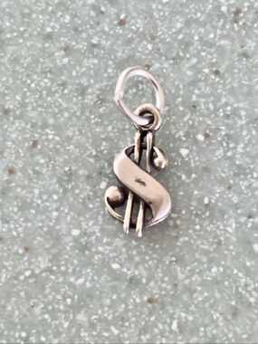 Dollar Sign Sterling Silver Jewelry Charm #money